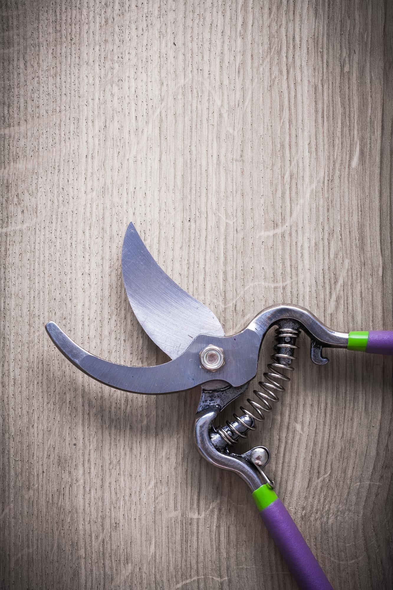 Advanced Tools